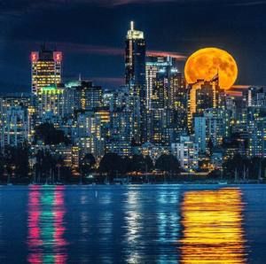 Meet your Posher, Nora